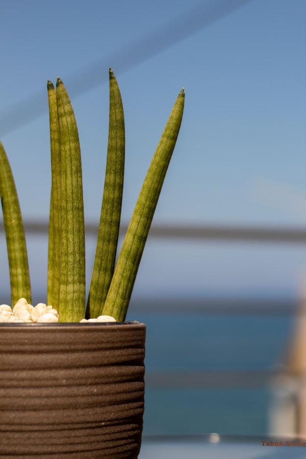 Tabak Home Sea Side Apartment La Canea Exterior foto